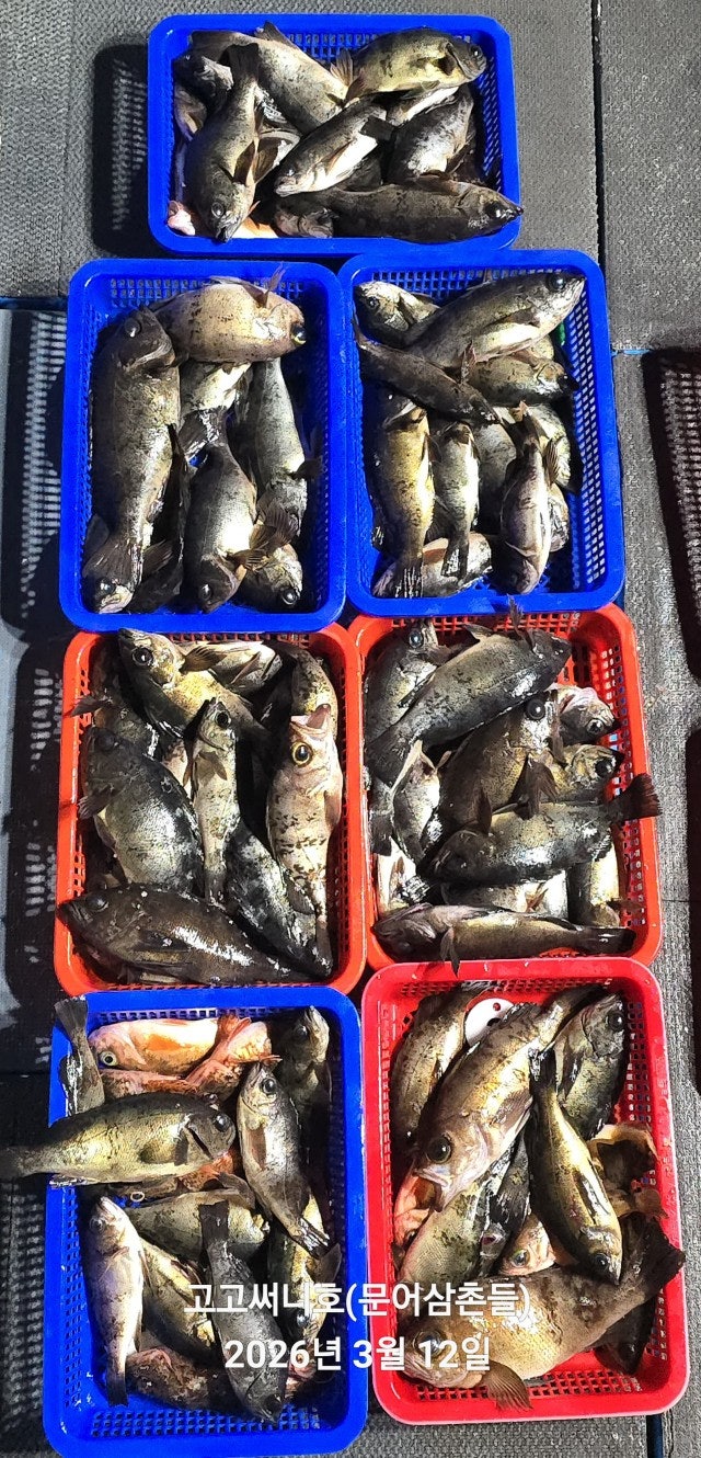 ����ڰ� �ø� �̹���