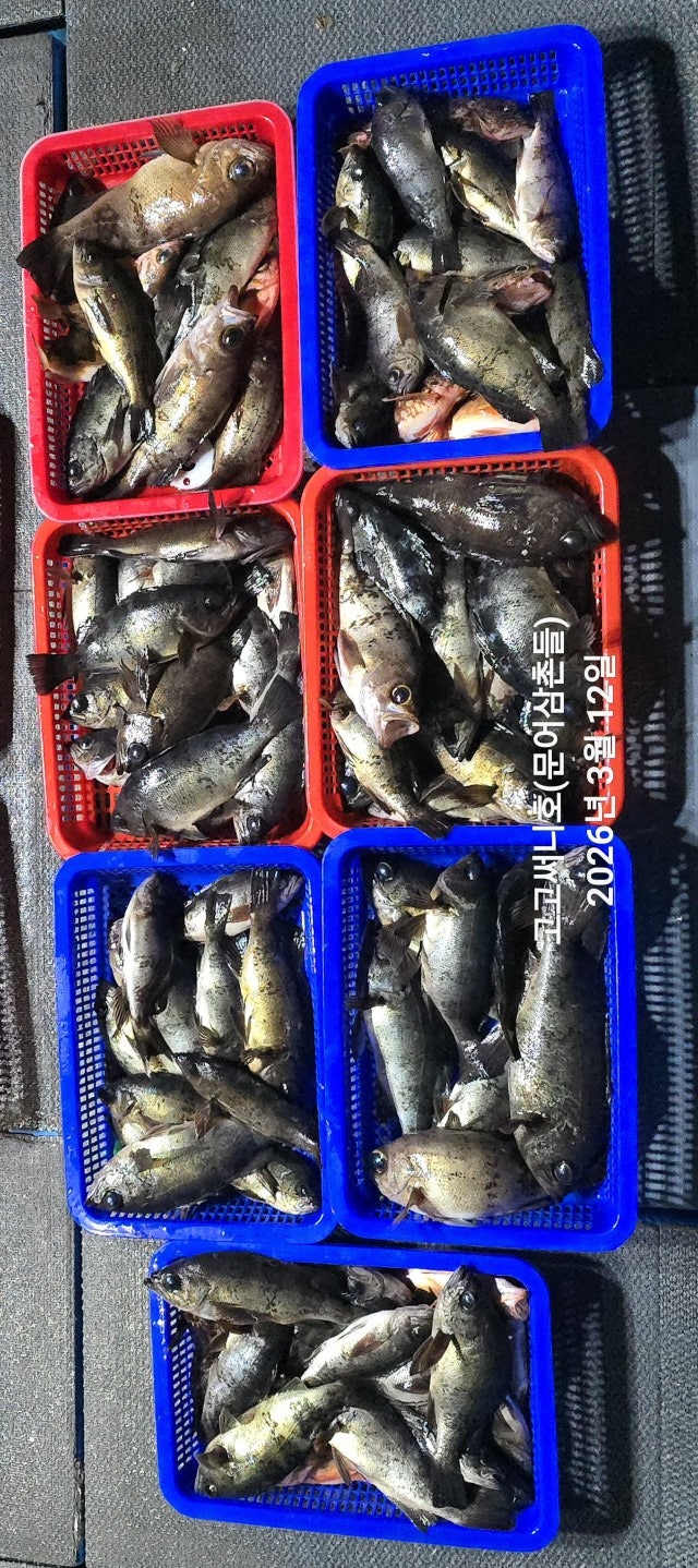 ����ڰ� �ø� �̹���