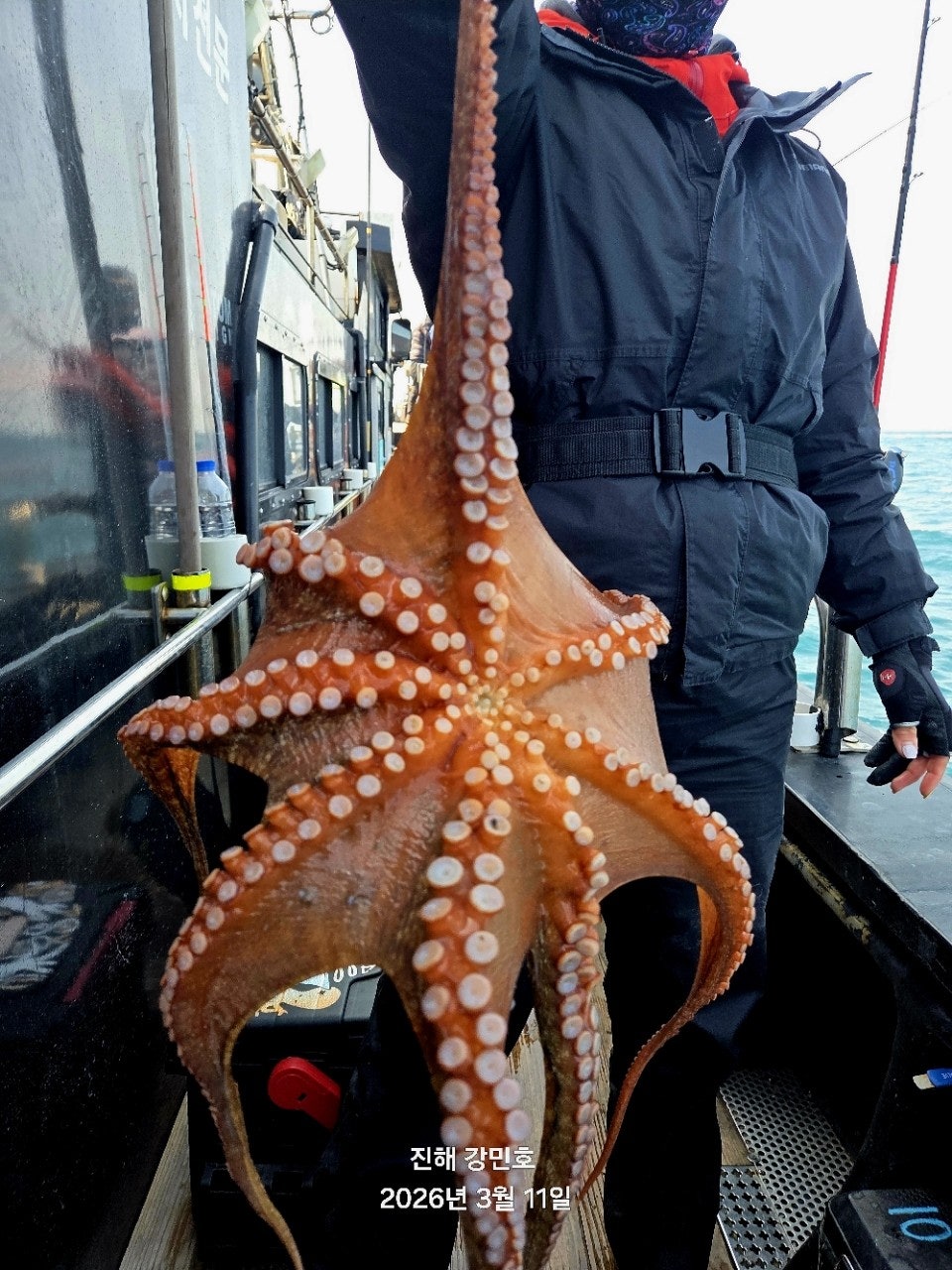 ����ڰ� �ø� �̹���