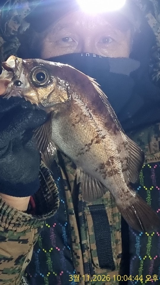 ����ڰ� �ø� �̹���