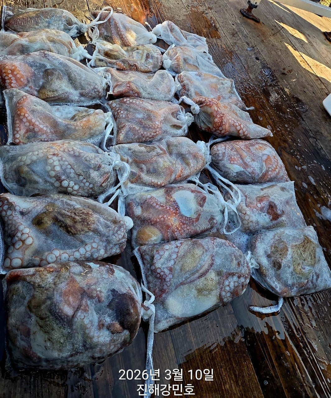 ����ڰ� �ø� �̹���