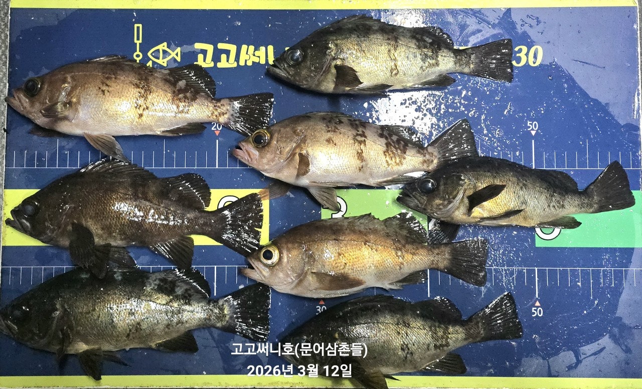 ����ڰ� �ø� �̹���