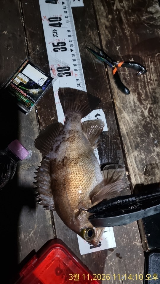 ����ڰ� �ø� �̹���