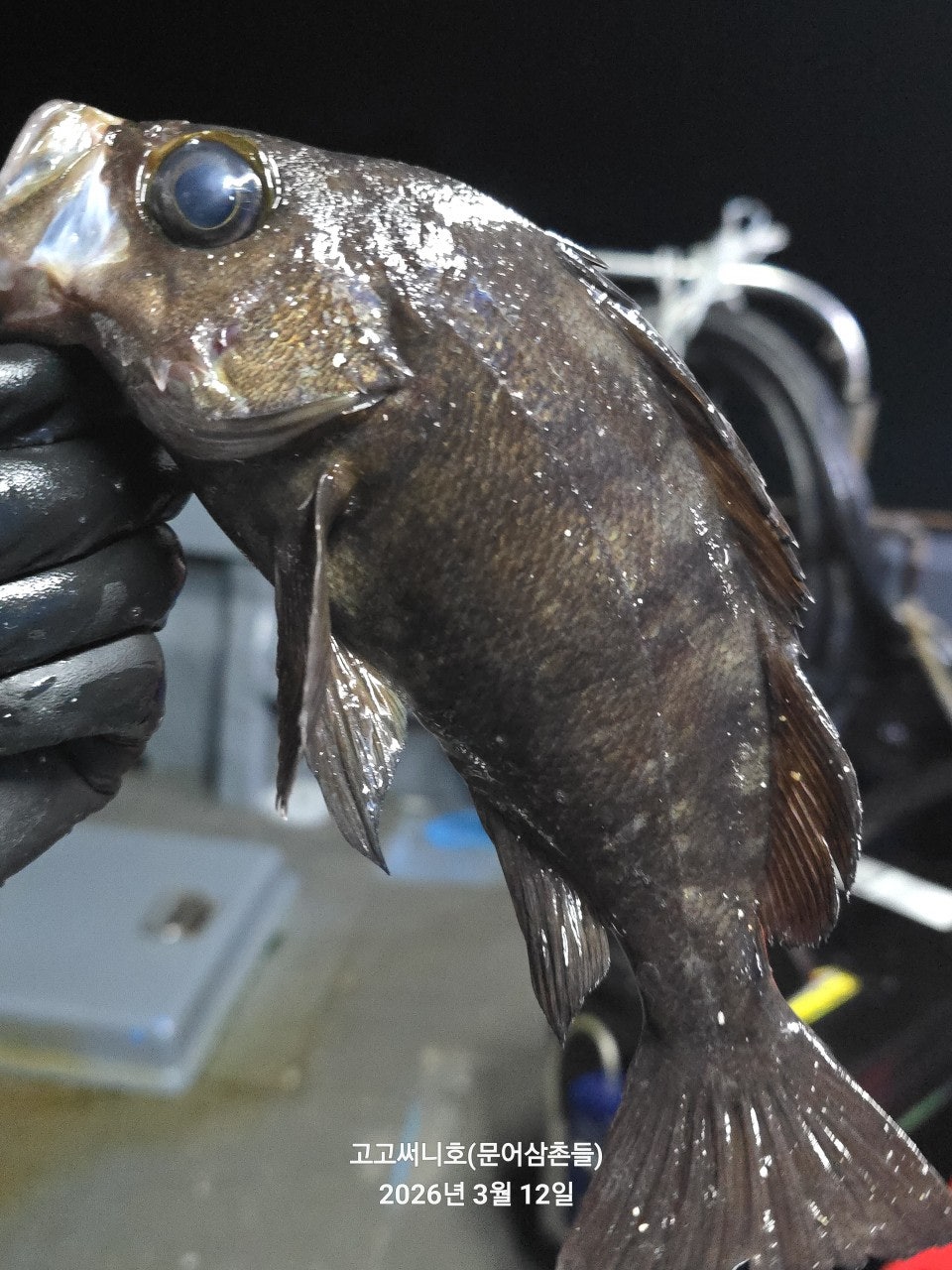 ����ڰ� �ø� �̹���