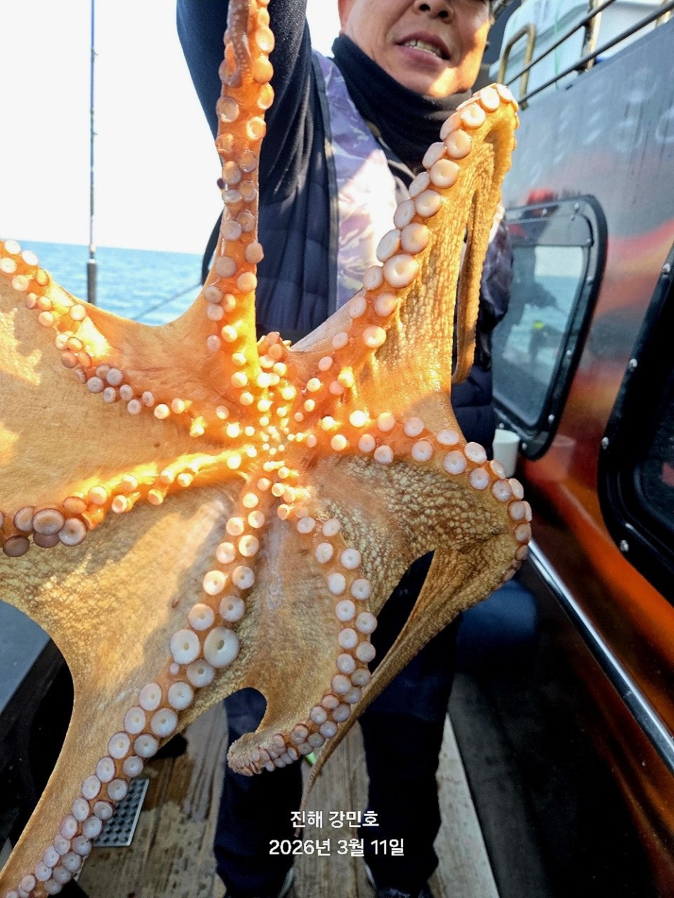 ����ڰ� �ø� �̹���