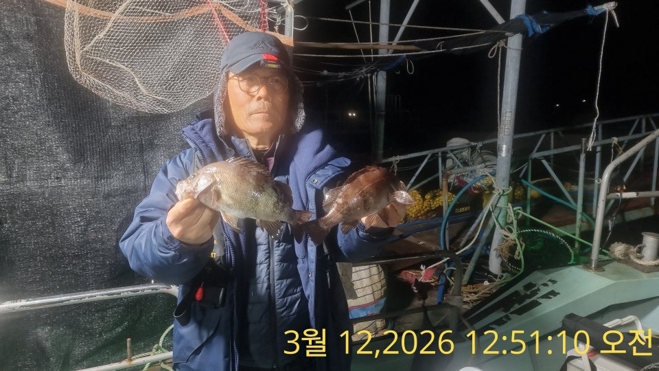 ����ڰ� �ø� �̹���