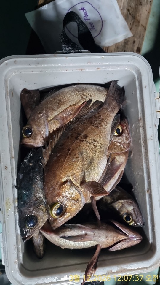 ����ڰ� �ø� �̹���