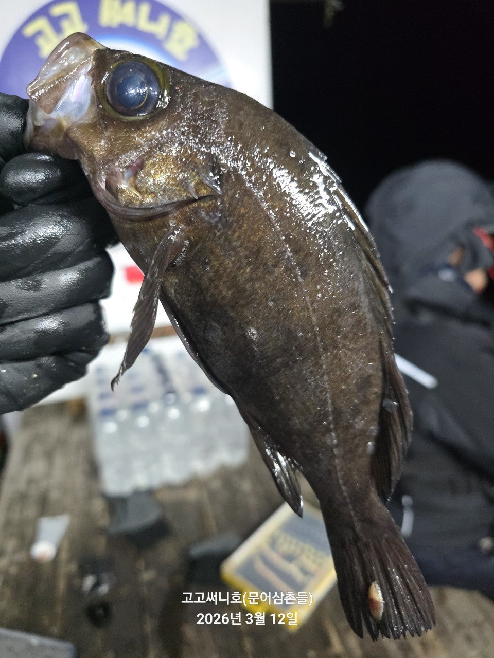 ����ڰ� �ø� �̹���