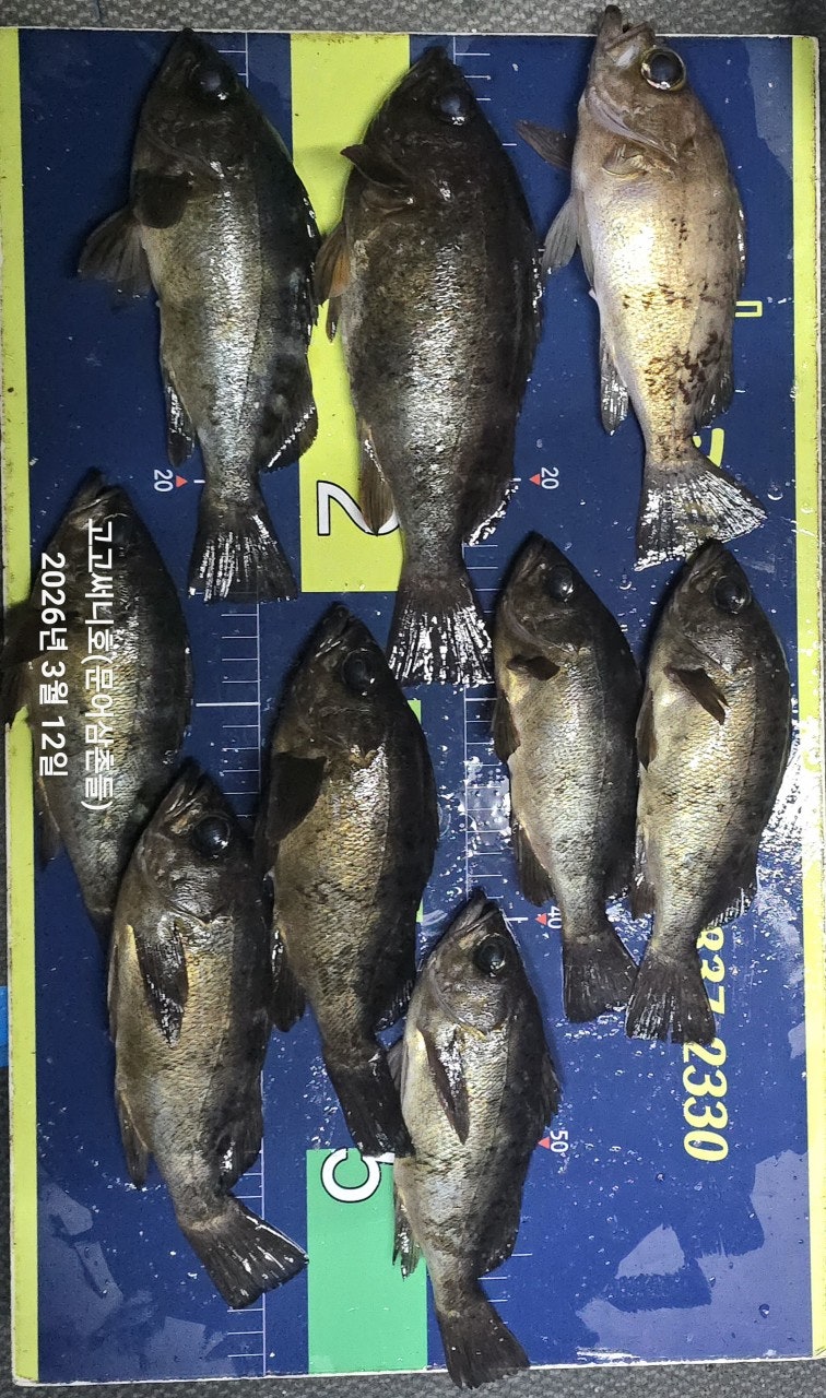 ����ڰ� �ø� �̹���