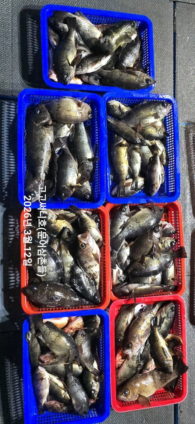 ����ڰ� �ø� �̹���