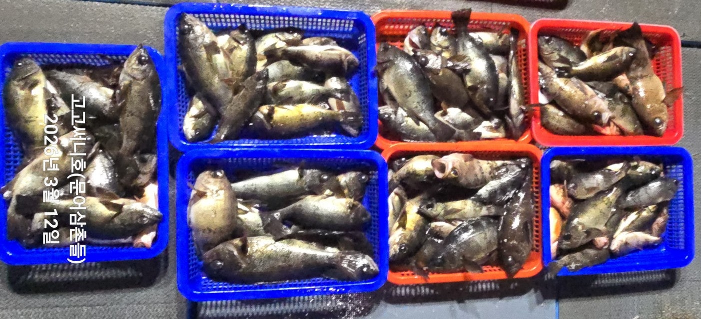 ����ڰ� �ø� �̹���