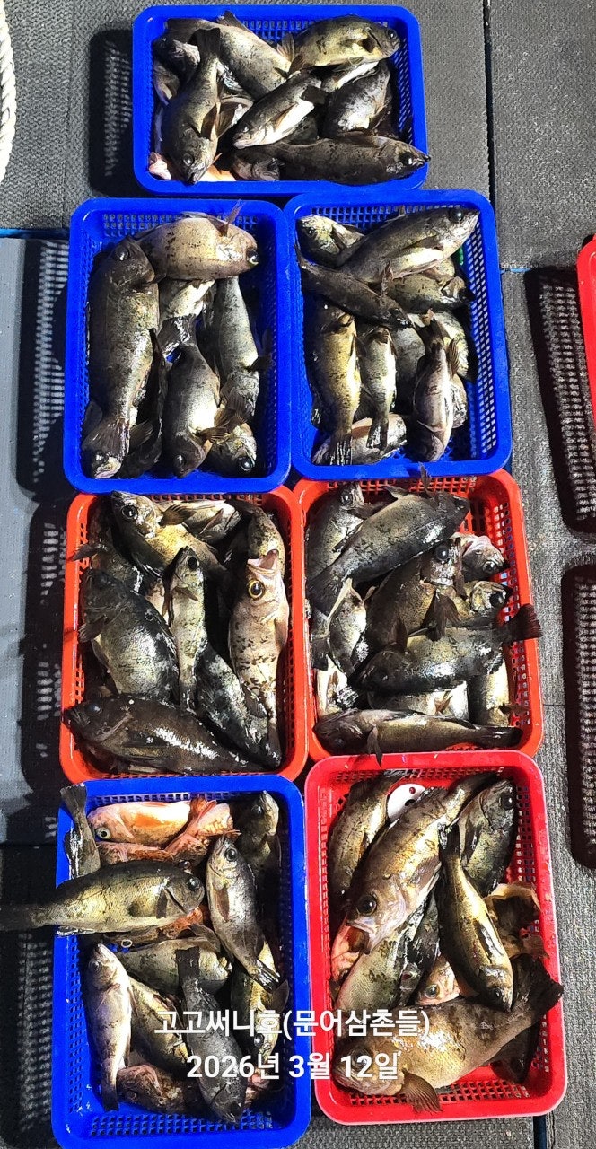 ����ڰ� �ø� �̹���