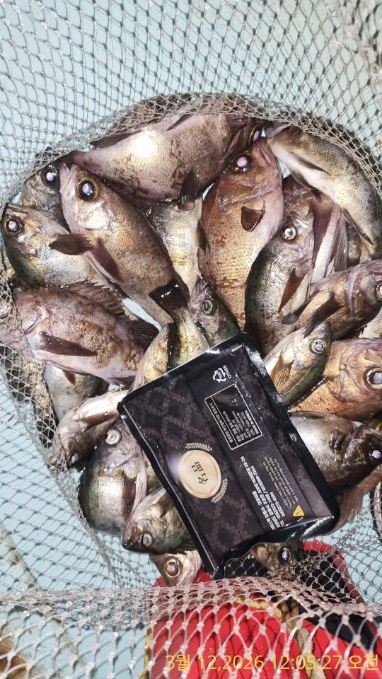 ����ڰ� �ø� �̹���