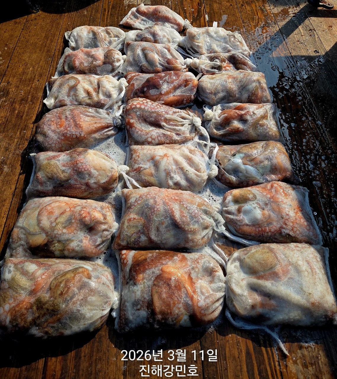 ����ڰ� �ø� �̹���