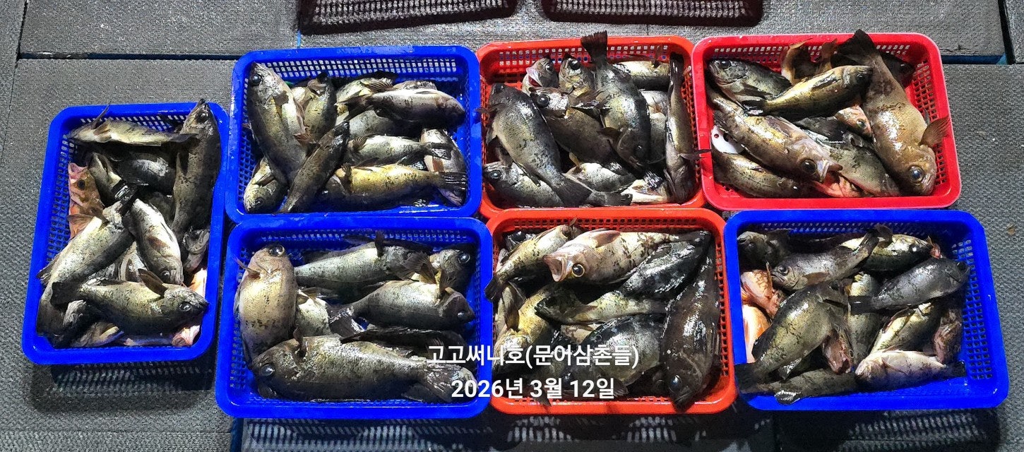 ����ڰ� �ø� �̹���