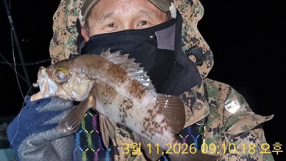 ����ڰ� �ø� �̹���