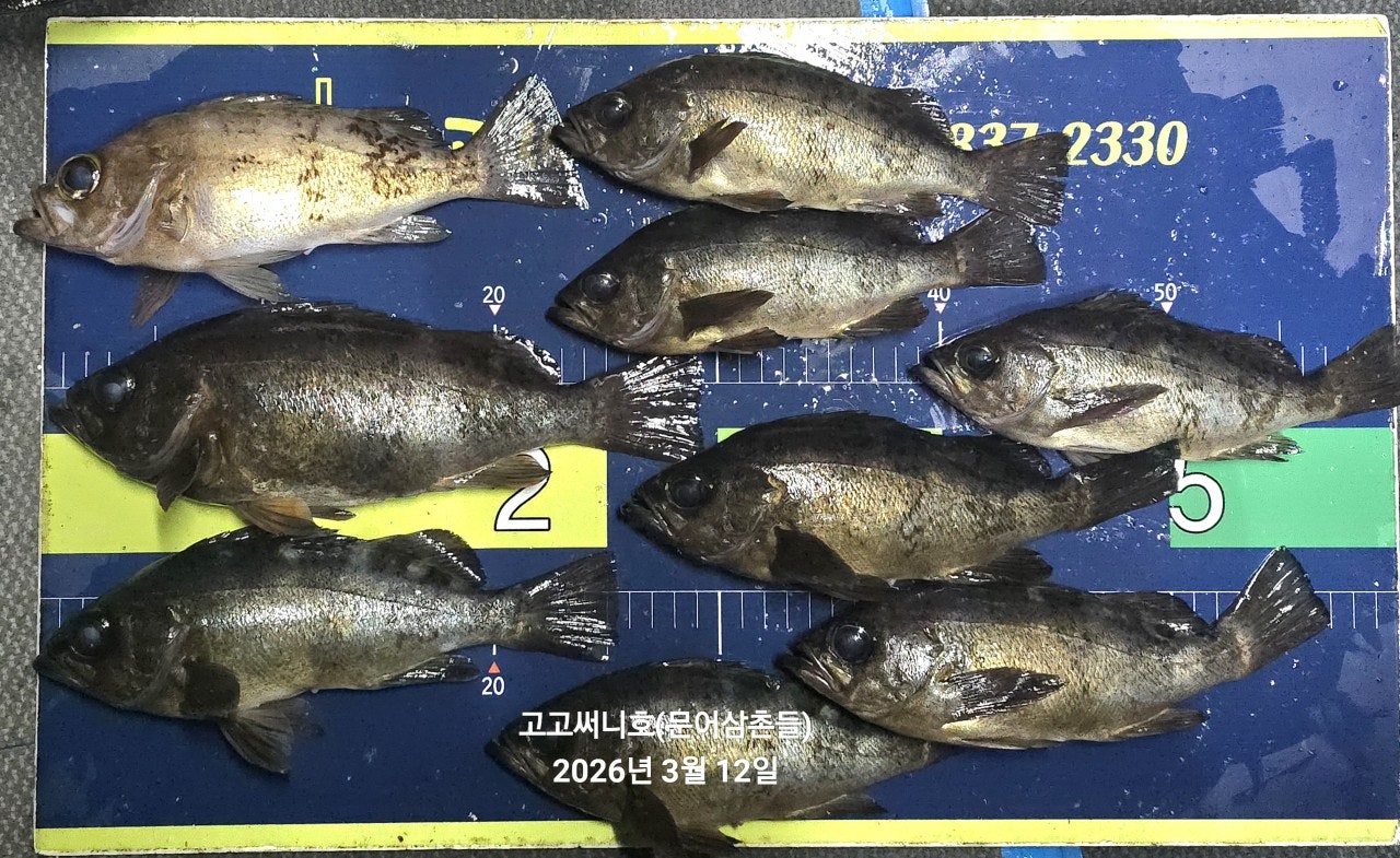 ����ڰ� �ø� �̹���