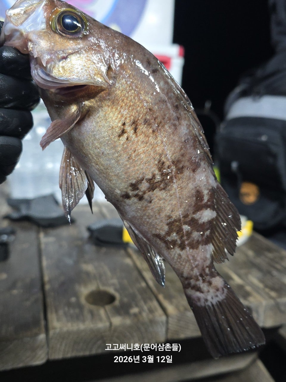 ����ڰ� �ø� �̹���