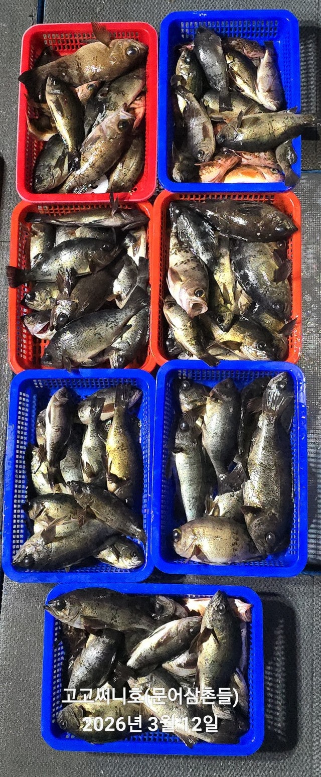 ����ڰ� �ø� �̹���