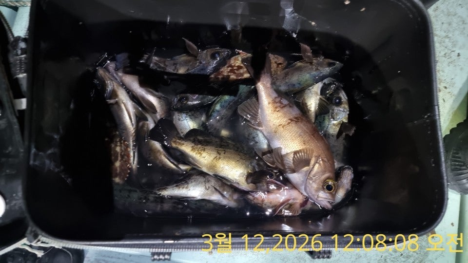 ����ڰ� �ø� �̹���