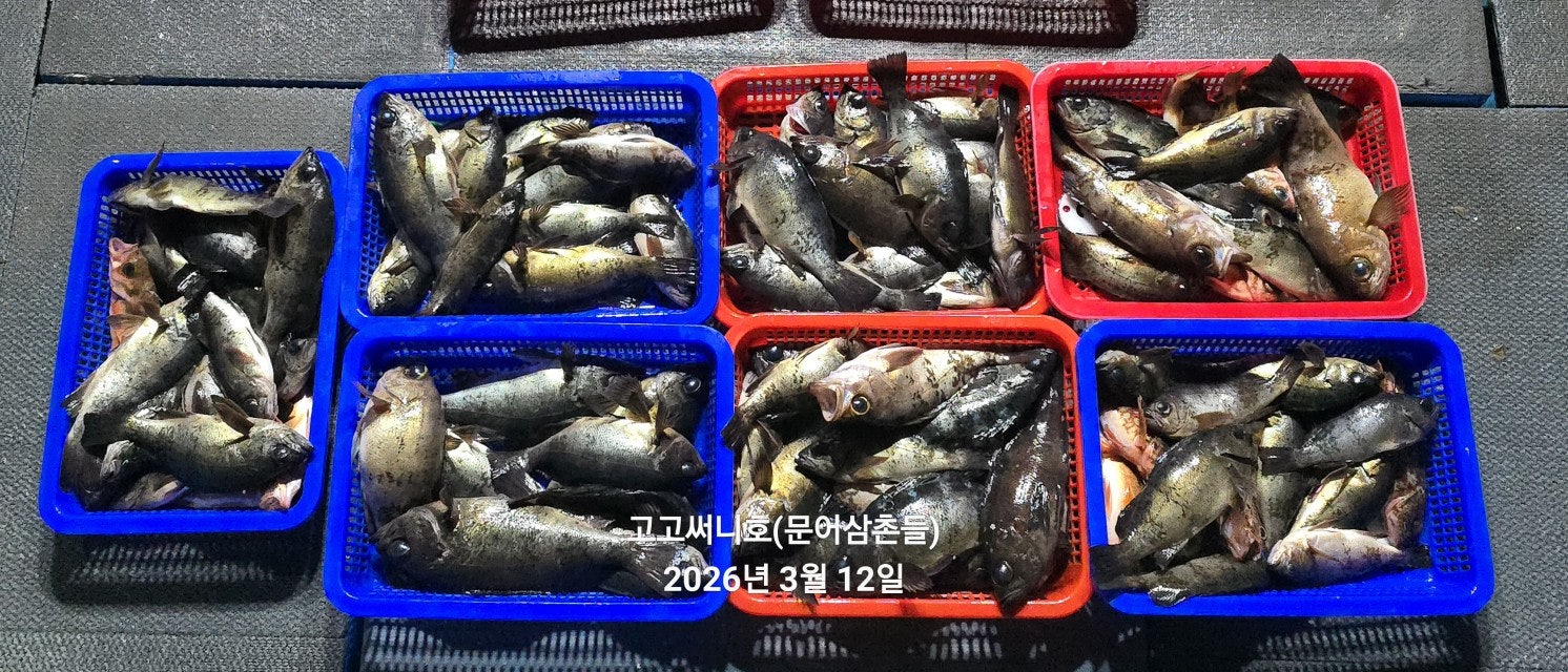 ����ڰ� �ø� �̹���