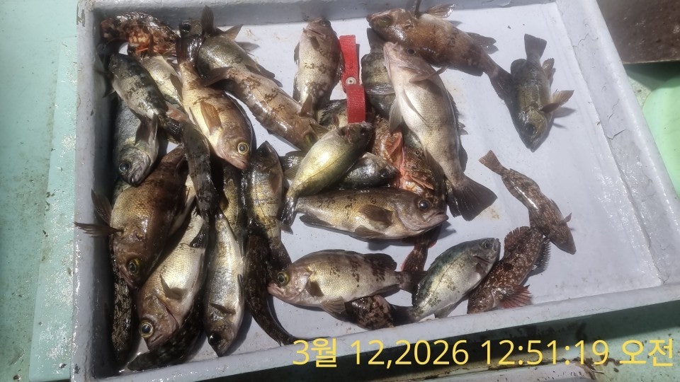 ����ڰ� �ø� �̹���