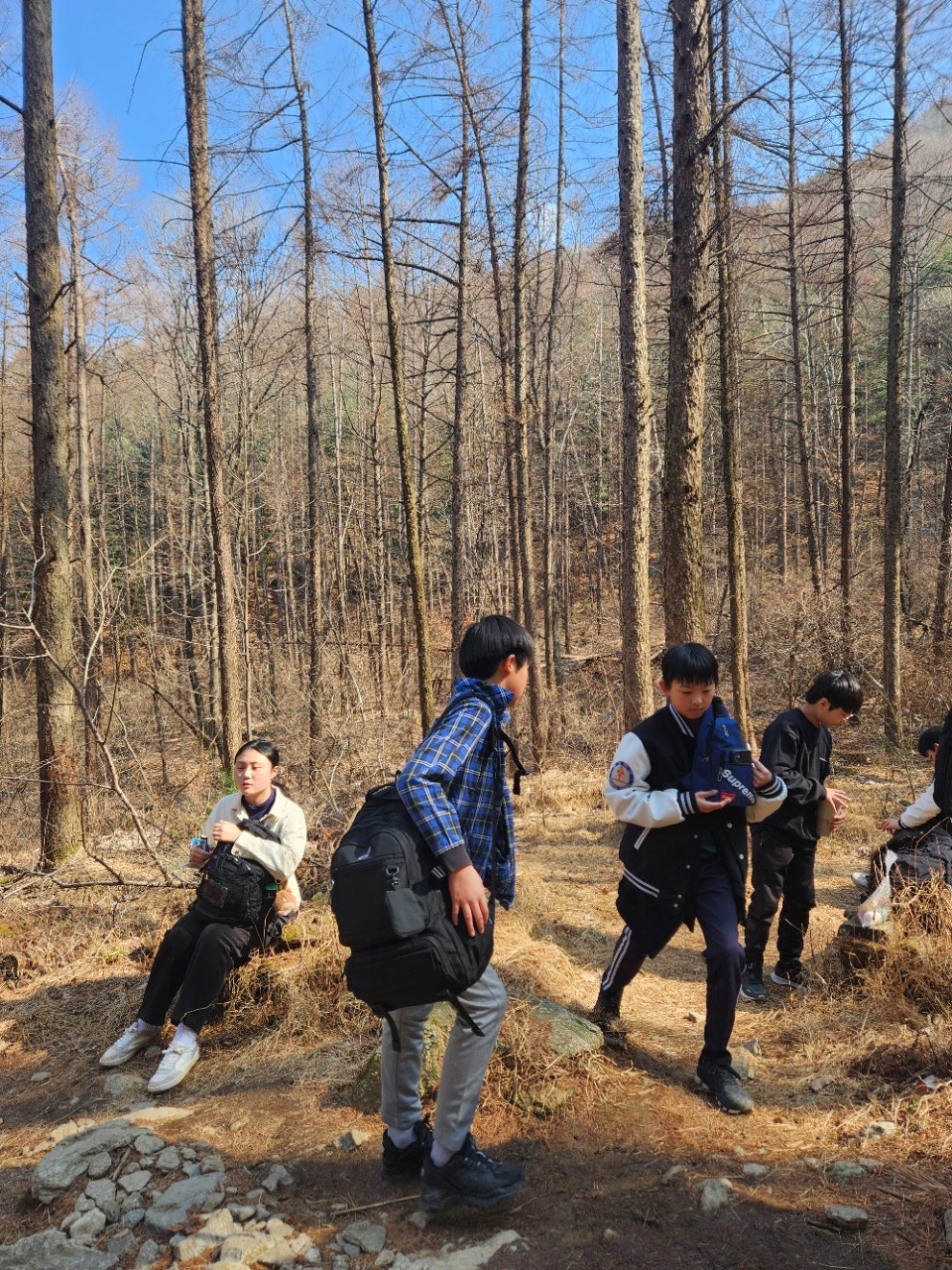 사용자가 올린 이미지