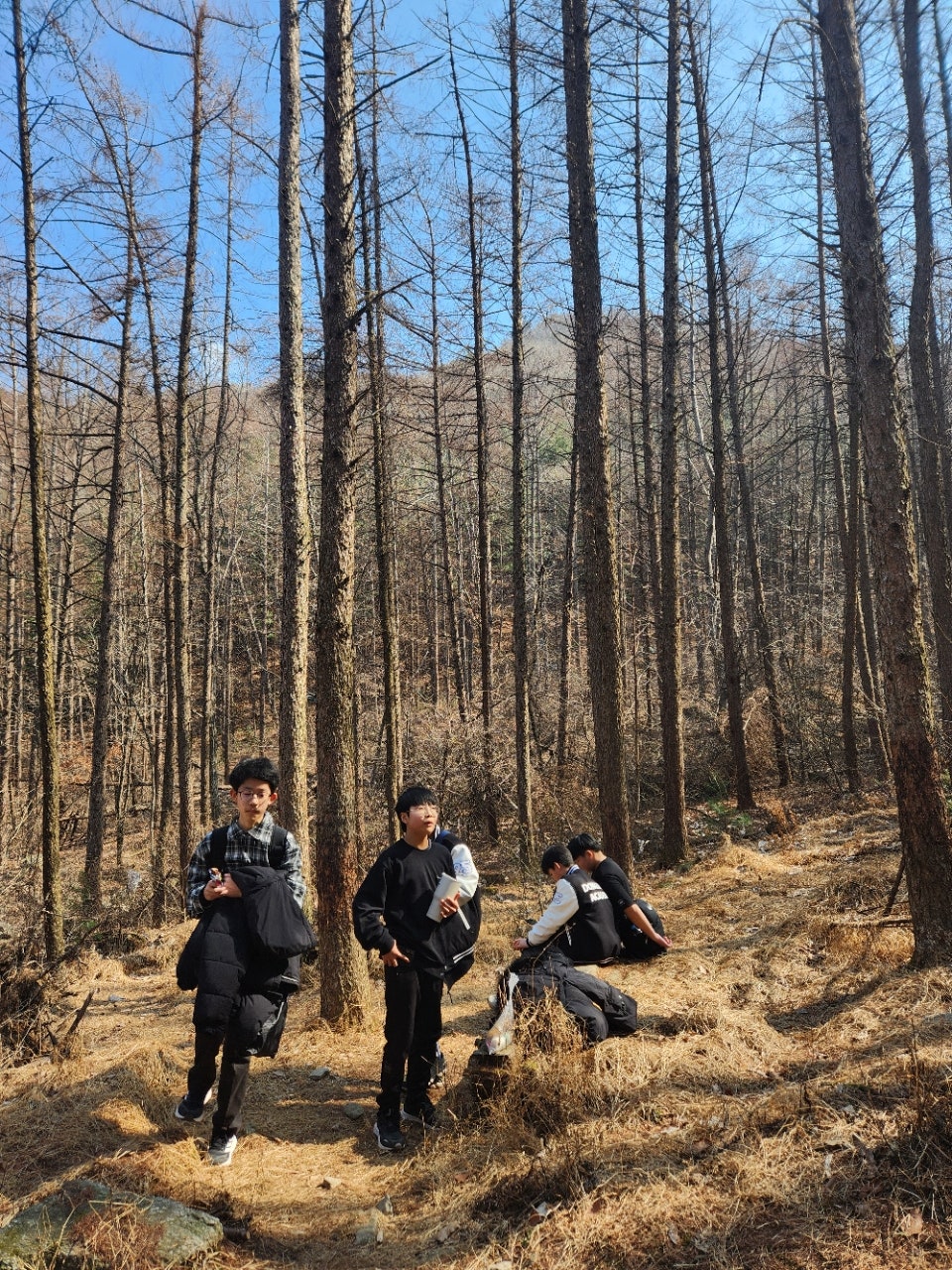 사용자가 올린 이미지