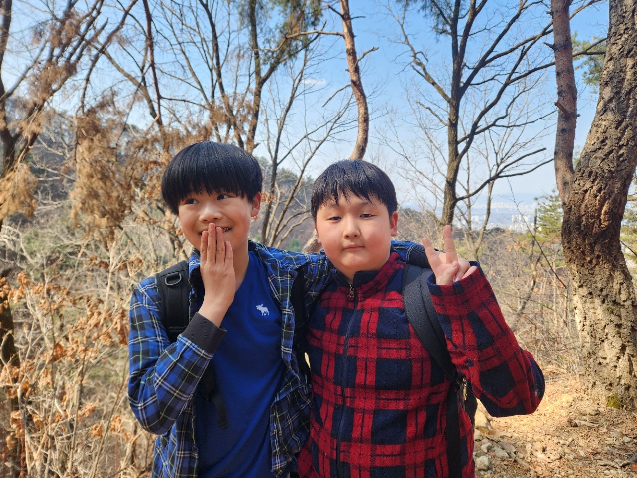 사용자가 올린 이미지