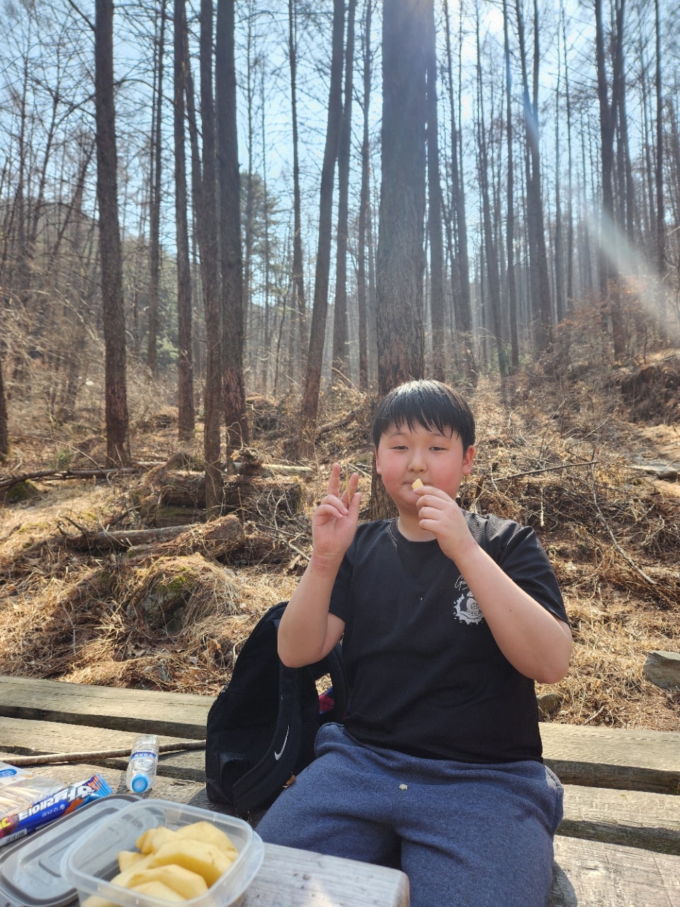 사용자가 올린 이미지