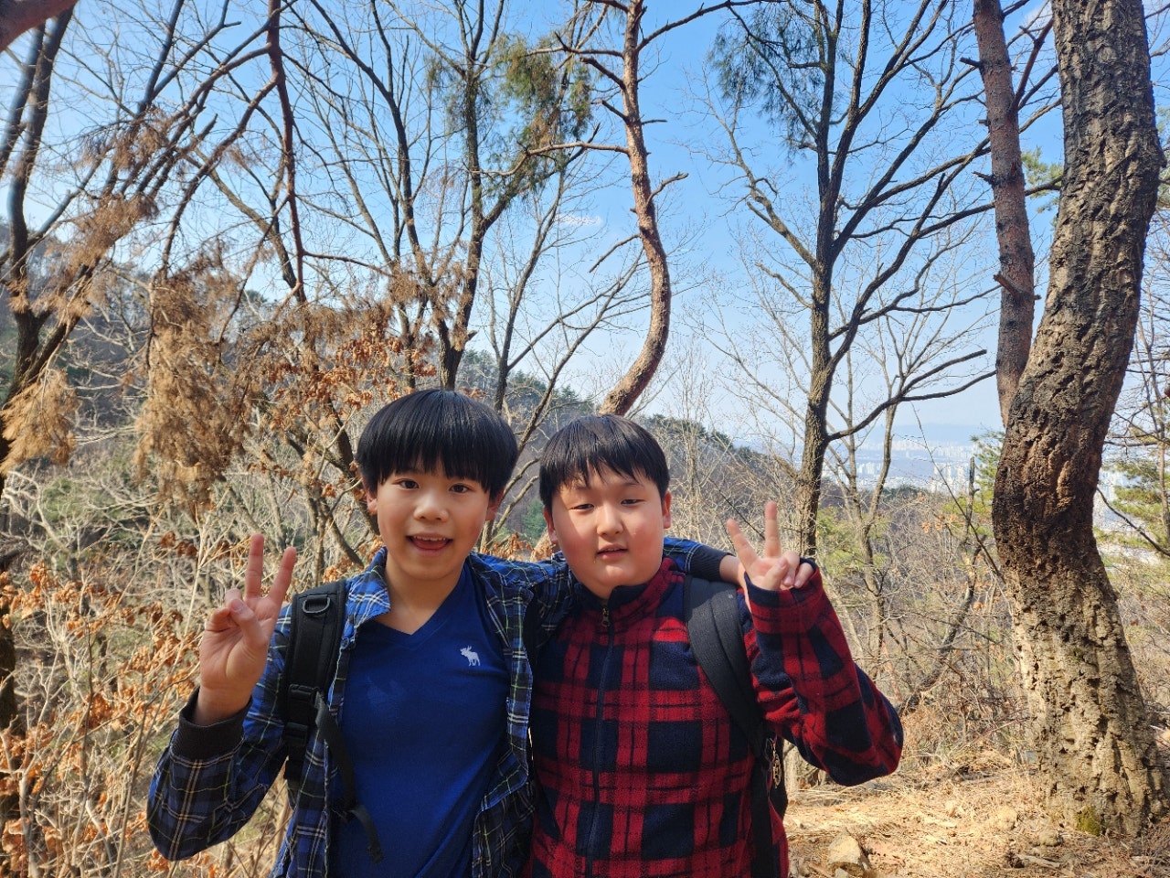 사용자가 올린 이미지