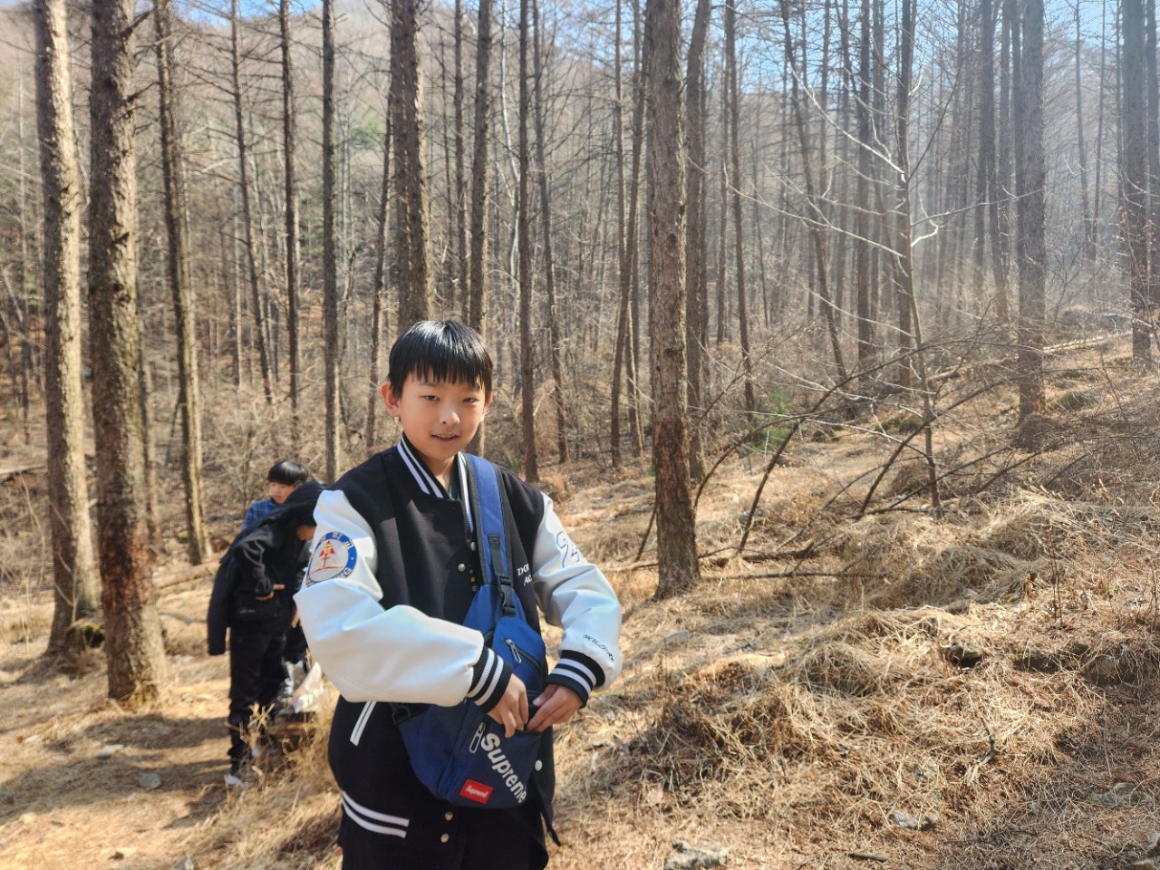 사용자가 올린 이미지