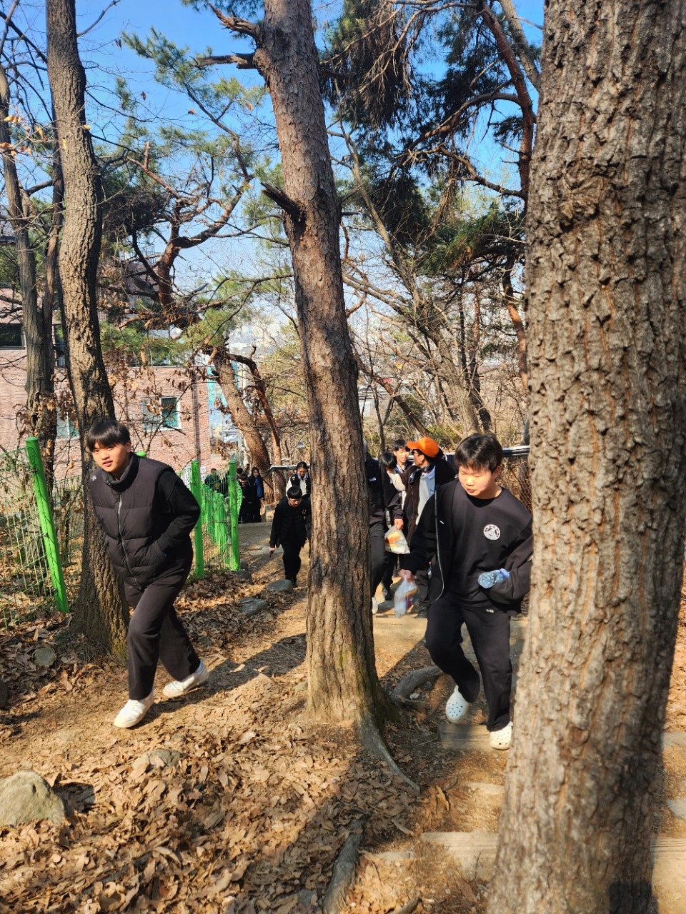 사용자가 올린 이미지