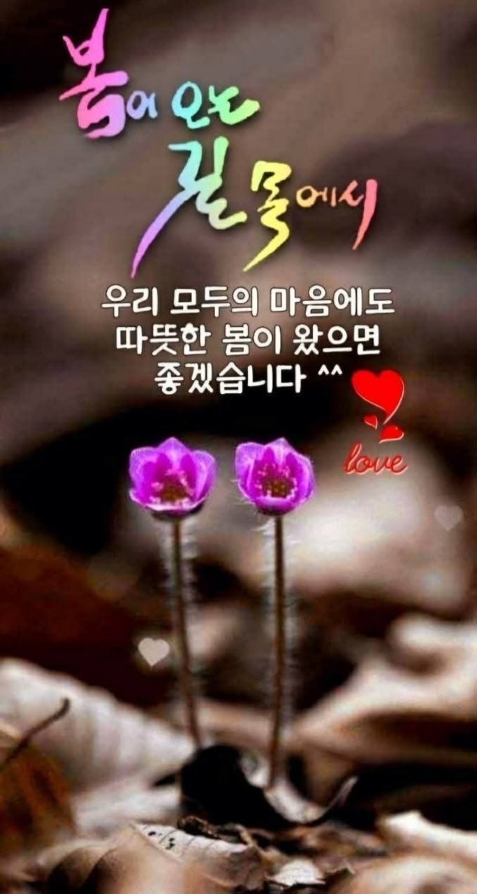 사용자가 올린 이미지