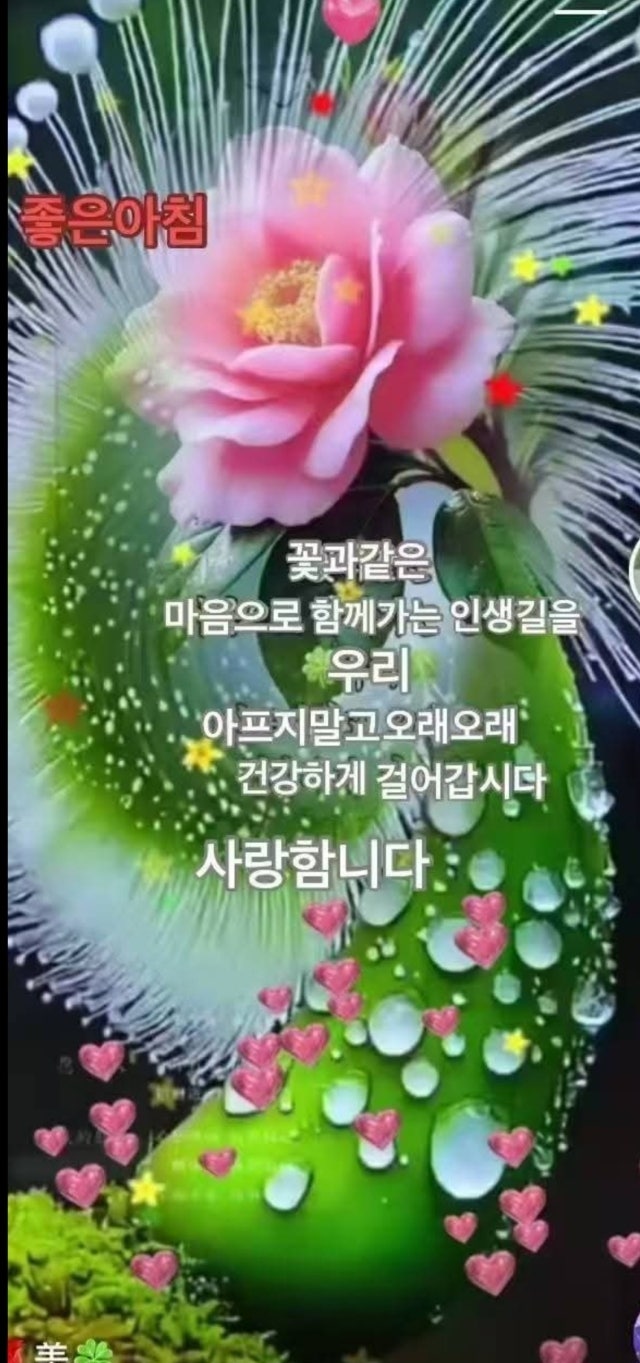 사용자가 올린 이미지