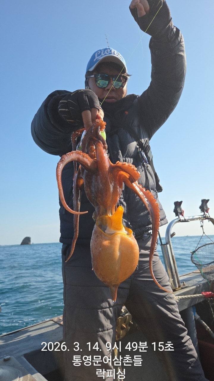 ����ڰ� �ø� �̹���