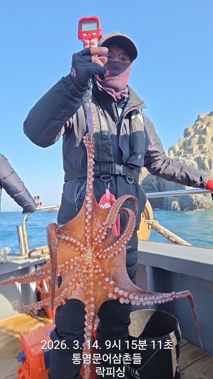 ����ڰ� �ø� �̹���