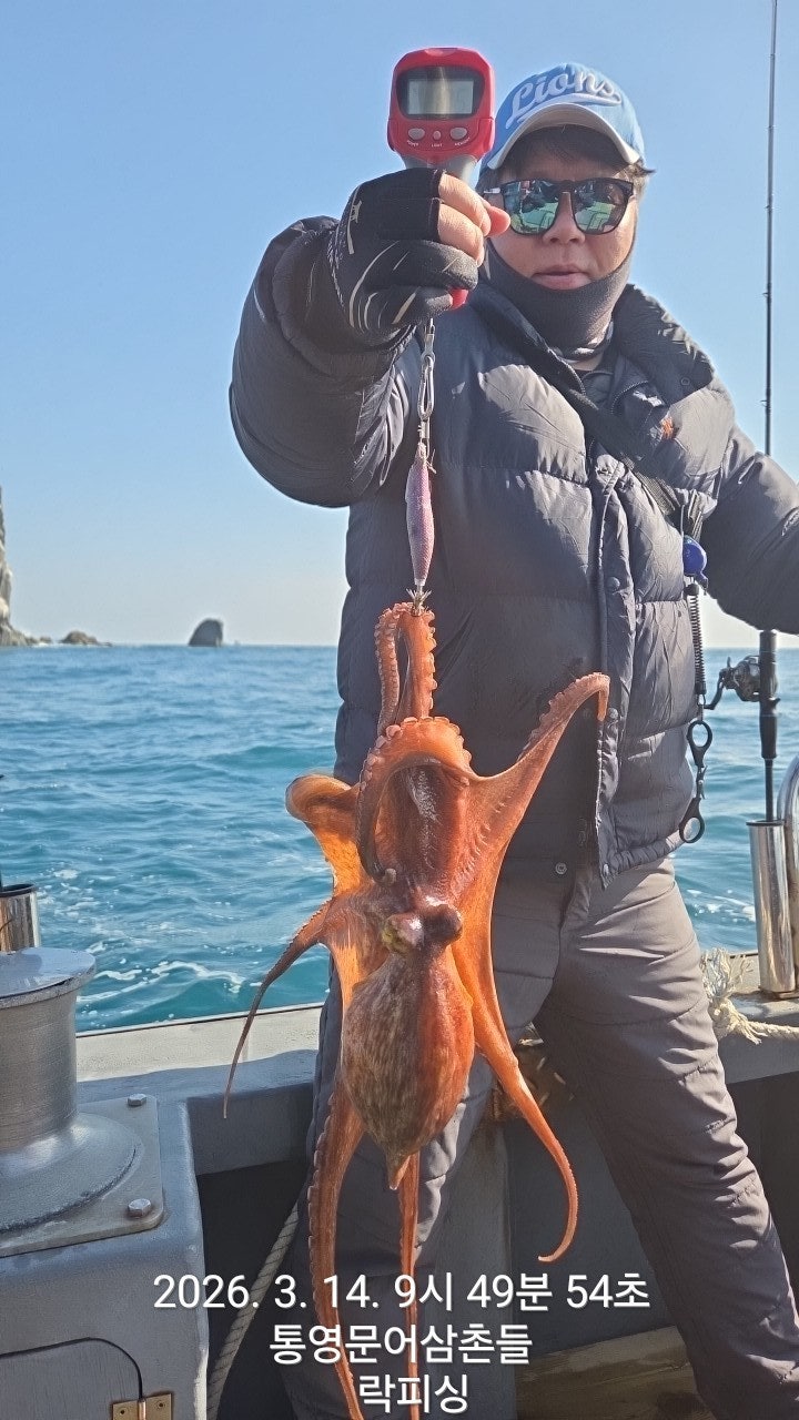 ����ڰ� �ø� �̹���