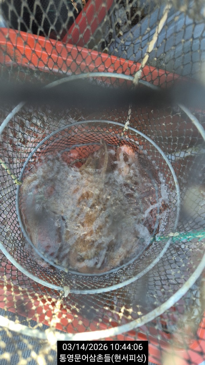 ����ڰ� �ø� �̹���