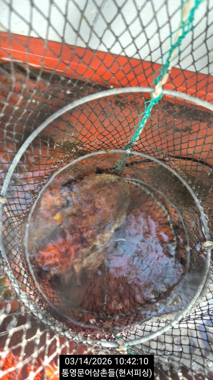 ����ڰ� �ø� �̹���