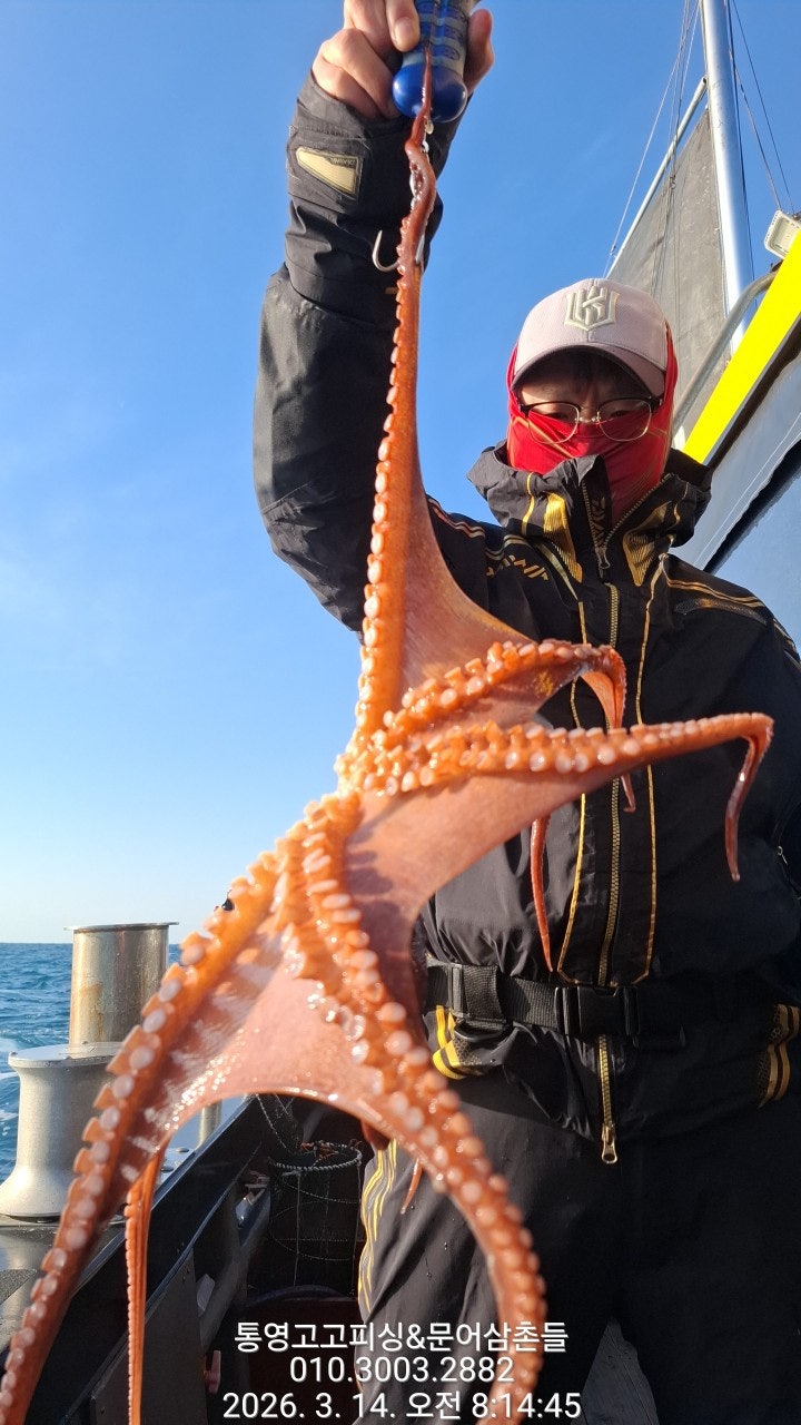 ����ڰ� �ø� �̹���