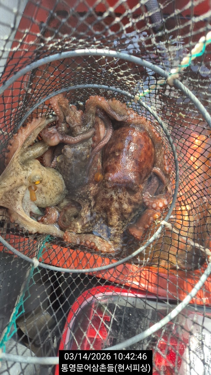 ����ڰ� �ø� �̹���