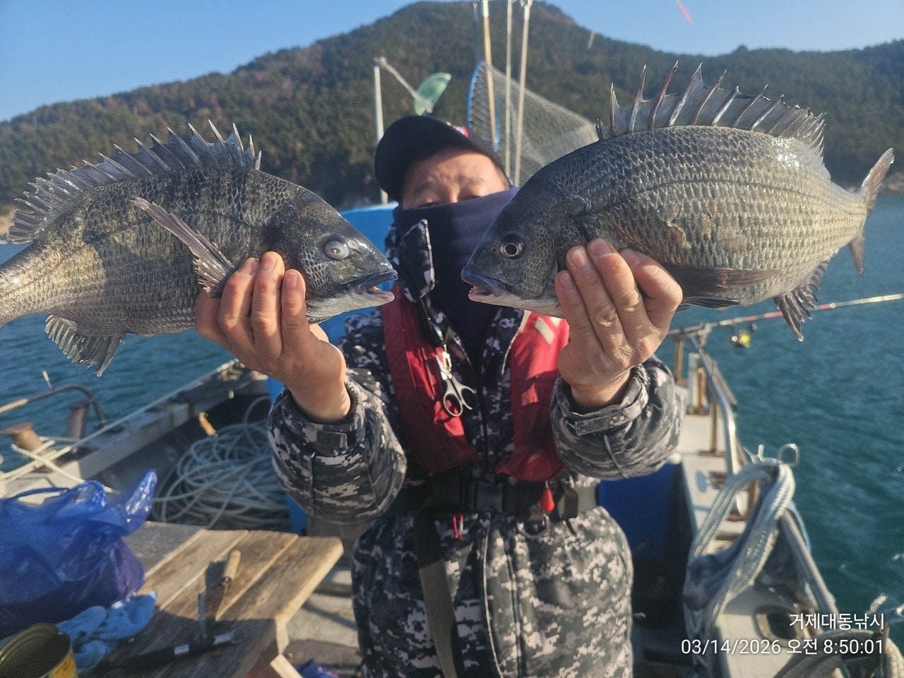 ����ڰ� �ø� �̹���