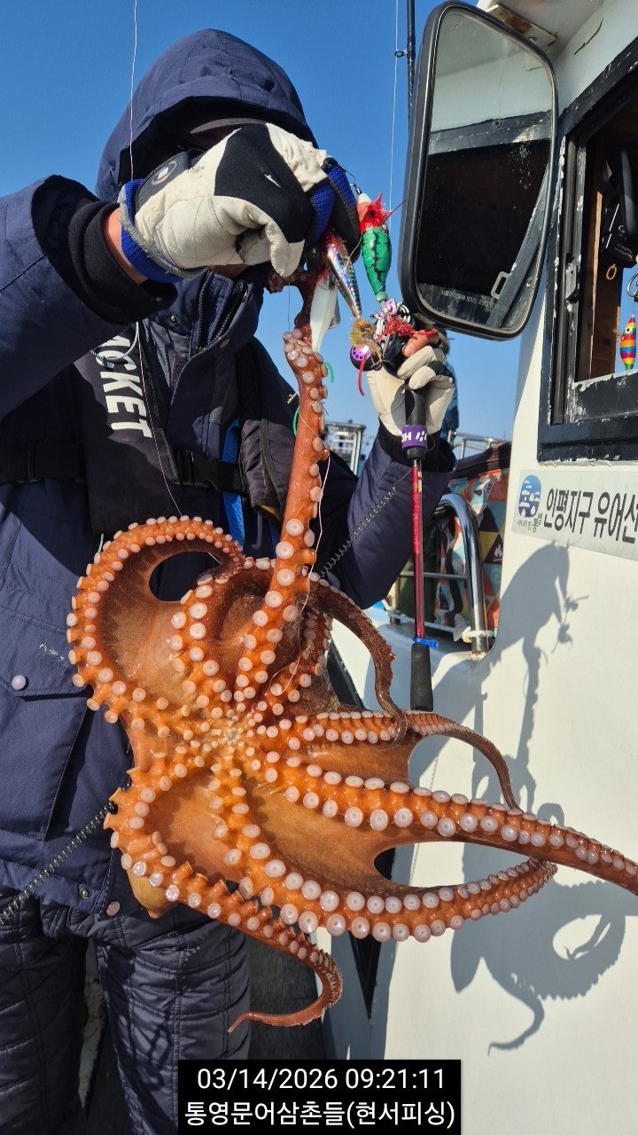 ����ڰ� �ø� �̹���