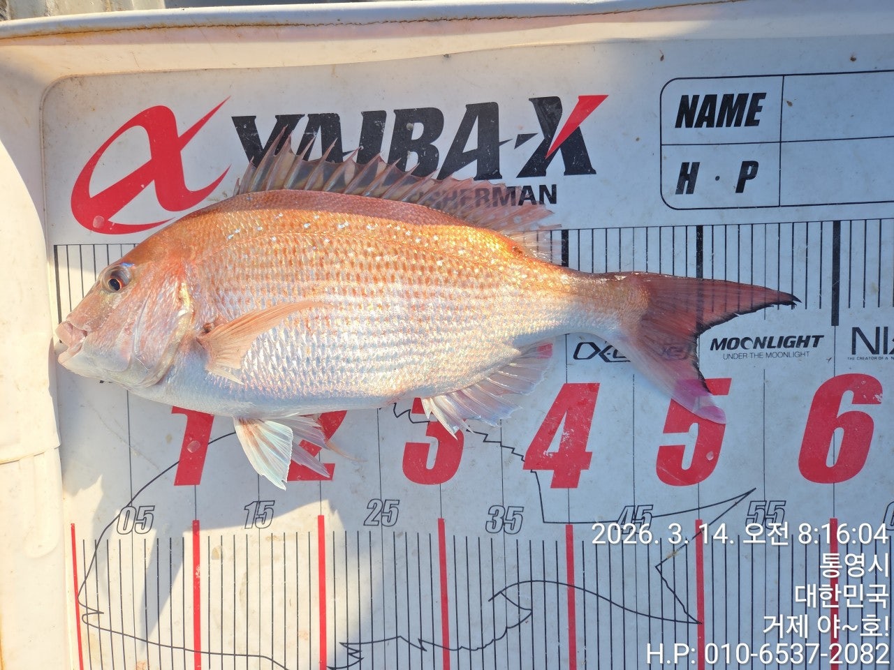 ����ڰ� �ø� �̹���