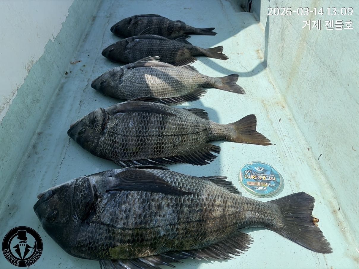 ����ڰ� �ø� �̹���