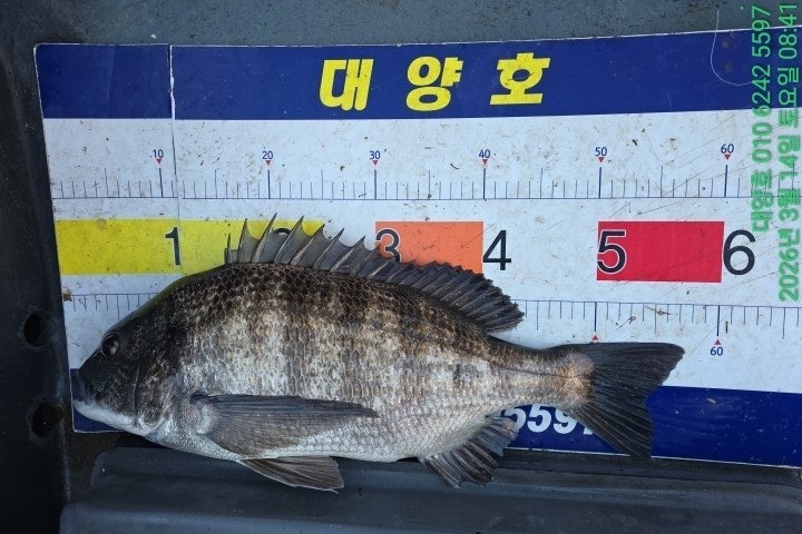 ����ڰ� �ø� �̹���