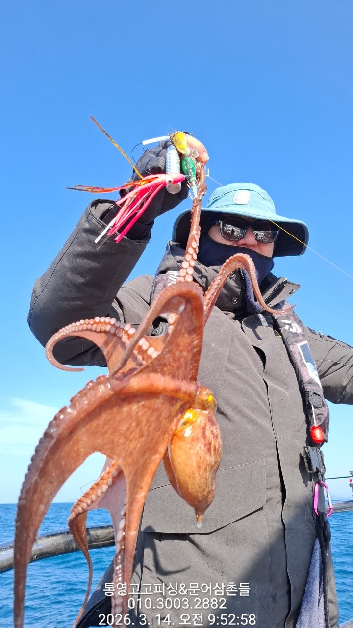 ����ڰ� �ø� �̹���