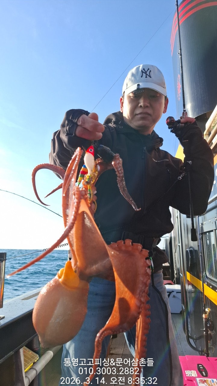 ����ڰ� �ø� �̹���