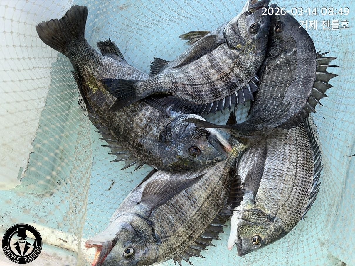 ����ڰ� �ø� �̹���